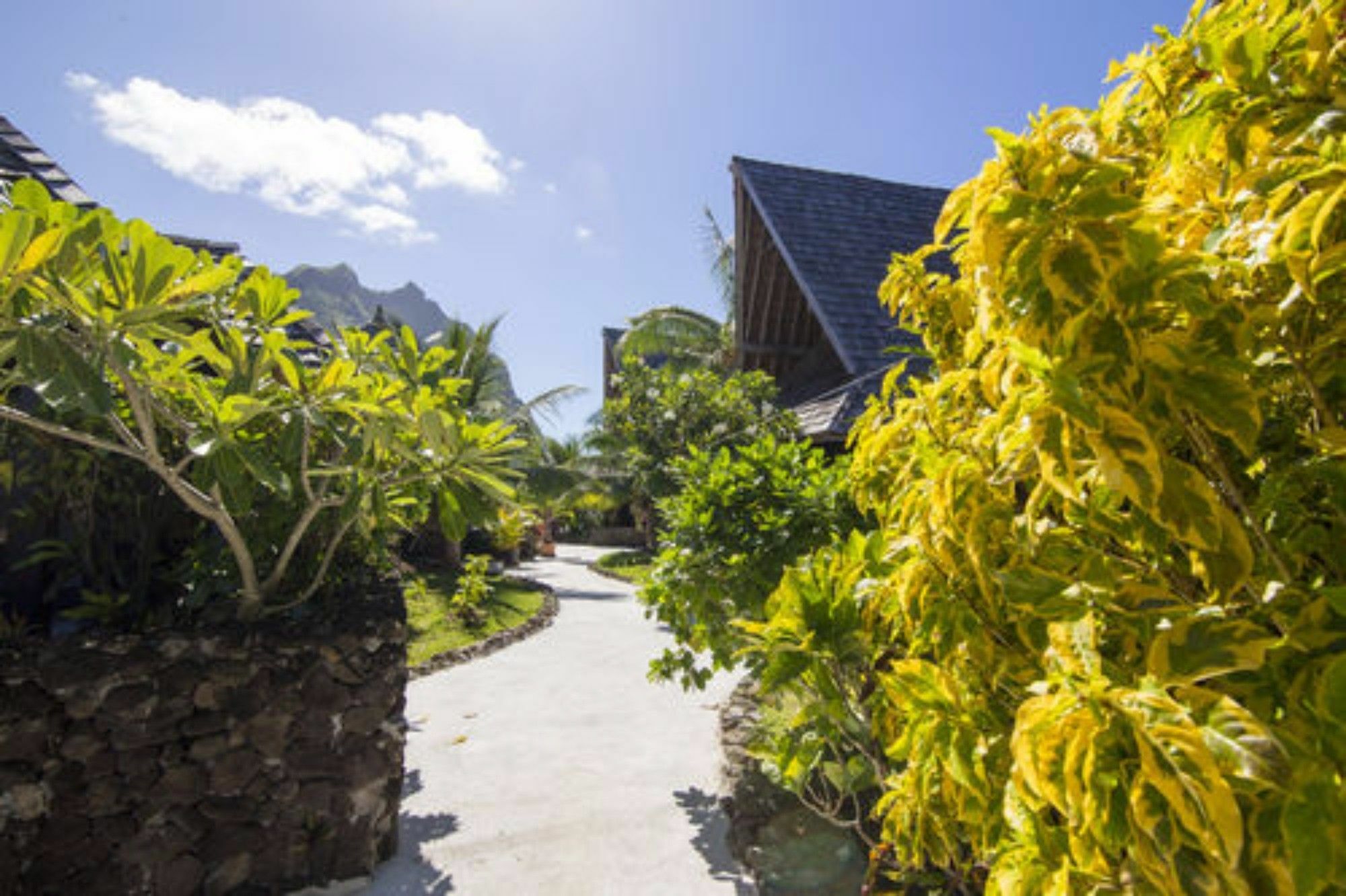 Oa Oa Lodge Bora Bora Exteriér fotografie