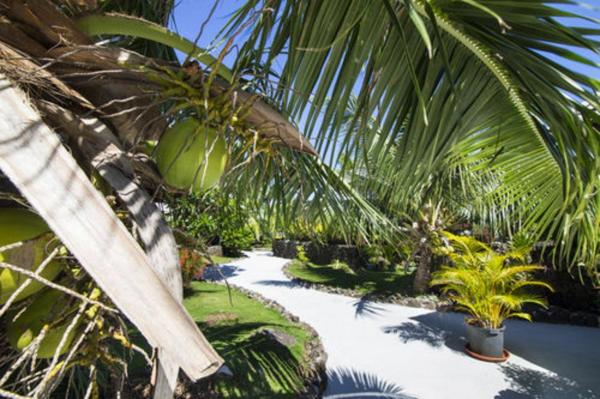 Oa Oa Lodge Bora Bora Exteriér fotografie